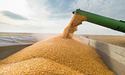 Німецька компанія буде перевозити українське зерно