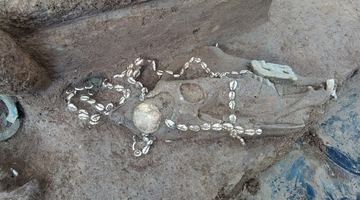 Археологи знайшли у Китаї клановий цвинтар, якому три тисячі років