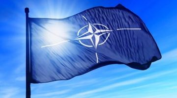 Сенат США схвалив приєднання Фінляндії та Швеції до НАТО