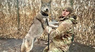 Герой України Дмитро Коцюбайло і його улюбленець — вовк Вольф.