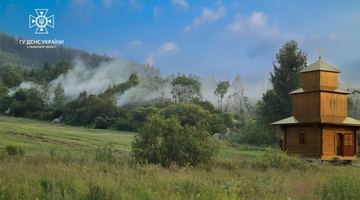 Сухостій. Фото: Головне управління ДСНС України у Львівській області