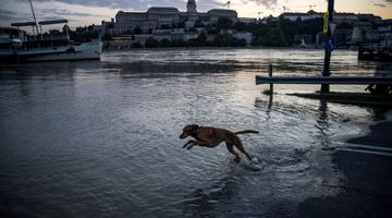 Фото Reuters