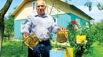 Володимир Кіс спеціалізується на вирощуванні чистопородних карпатських бджіл. Фото Ігоря ЛАЗОРИШИНА