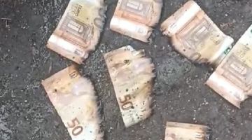 Рештки іноземної валюти, яку ланівецькі комунальники знайшли у каналізації. Можливо, цим грошам ще знайдуть застосування. Фото із соцмереж.
