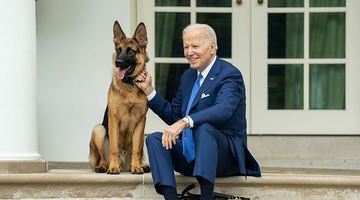 Стосунки собаки президента США зі співробітниками його охорони наразі не складаються... Фото White House.