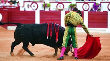 На міську арену Хіхона бики й тореадори вийдуть у серпні. Фото aplausos.es