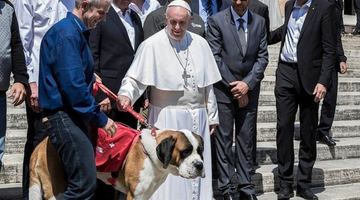 Віддавати перевагу домашнім тваринам замість народження дітей - це егоїзм, — Папа Франциск