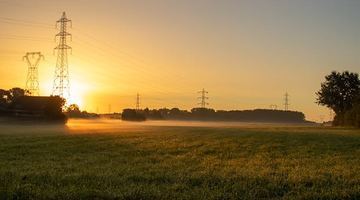 Фото ілюстративне із сайту Pexels