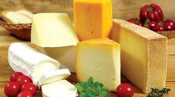 За неправильного зберігання сиру в ньому дуже швидко розмножують­ся бактерії і грибки