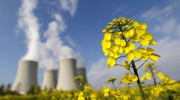 Ядерне паливо та природний газ в Євросоюзі остаточно визнані зеленою енергетикою