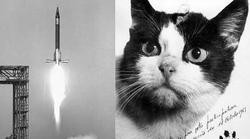 У Парижі збираються встановити пам'ятник першій «кішці-космонавту»