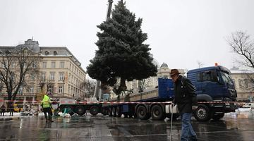 На площі перед Оперним театром почали встановлювати головну новорічну ялинку Львова. Фото Романа Балука