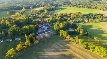 Фото умовне із сайту Pexels