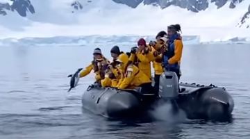 Задля порятунку пінгвін стрибає у човен до людей.