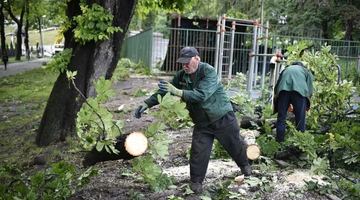 Підтоплення, повалені дерева та пошкоджені дахи: наслідки негоди у Львові