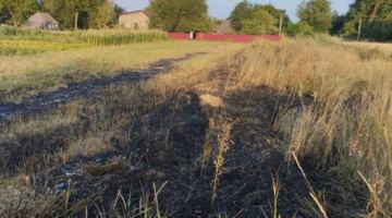 На Прикарпатті 69-річна жінка отримала опіки, спалюючи суху траву