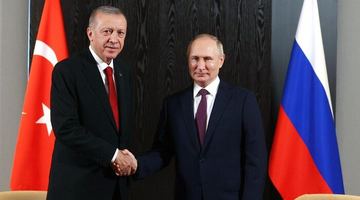 Ердоган та путін. Фото з відкритих джерел