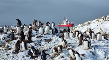Фото: Національний антарктичний науковий центр.