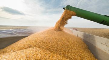 росія вкрала українського зерна щонайменше на 1 млрд доларів. Фото із мережі