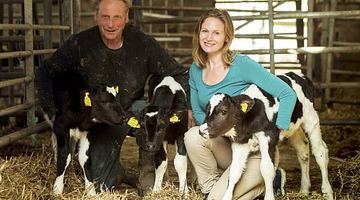 А це 73-річний британський фермер Джо Коллінгборн і його дочка Кері. На їхньому хазяйстві телята-трійнята народжувалися двічі. Фото news.agro-center.com.ua
