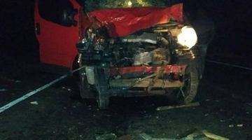 Мікроавтобус роздавив воза біля Болграда, загинуло троє людей