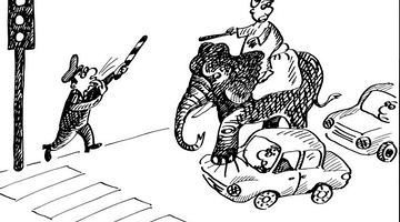 22 серпня 2002 року в Таїланді заборонили використовувати слонів для пересування по міських вулицях - аби убезпечити як водіїв автомобілів, так і самих слонів