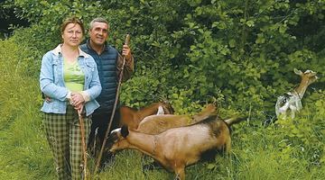 Протягом весняно-літнього періоду Оксана та Ігор Лукіни випасають своїх кіз. Фото з архіву родини Лукіних