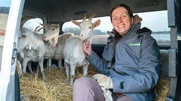 Лідія Цюпко отримала від канадських волонтерів породистих тварин. Фото Суспільне Дніпро.