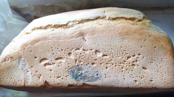 Хліб із пліснявою: росіяни передали гуманітарку у Маріуполь