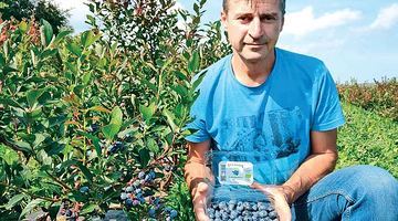 Богдан Боднар уже кілька років займається вирощуванням смачних і корисних ягід. Фото з архіву Богдана Боднара.