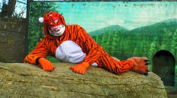 Директор переодягнувся у тигра і взявся «чудити»