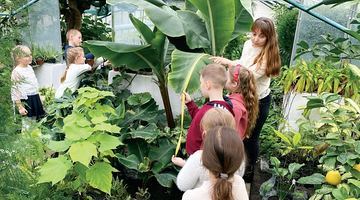 Місцеві школярі зацікавлено слухають розповідь Ольги Кот про вирощування екзотичних рослин. Фото з архіву Ольги Кот.