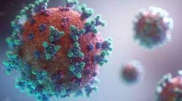 В Україні не виявили новий штам коронавірусу