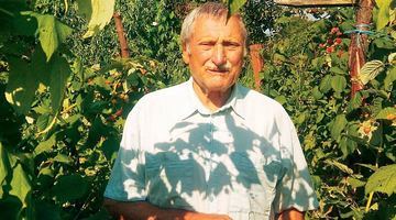 Зіновій Михайлович аж до холодів збирає налиті сонцем ягоди. Фото зі сімейного архіву родини Шалаїв