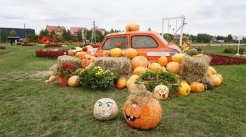 50 тонн гарбузів: яскрава фотолокація