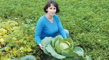 Цьогоріч пані Ольга задоволена капустою. Фото з архіву Ольги Новак-Шульги.