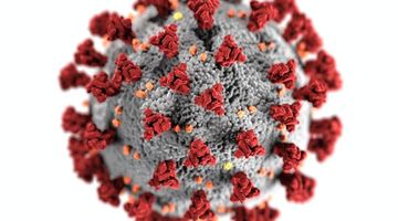 В Україні виявили понад 10 тисяч нових заражених коронавірусом станом на 14 січня