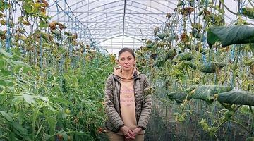 Перебравшись із тимчасово окупованих територій на захід України, Ганна Іщенко займається вирощуванням помідорів, огірків та інших овочів. Фото з архіву Ганни Іщенко.