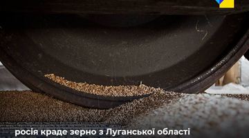 На Луганщині окупанти організували залізницю, щоб перевезти 650 тонн краденого зерна