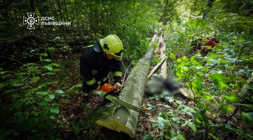 Фото: Головне управління ДСНС України у Львівській області