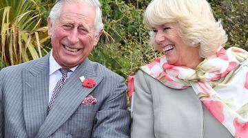 Король Чарльз ІІІ і королева-консорт Камілла можуть розраховувати на підтримку більшості підданих Сполученого Королівства. Фото pinkvilla.com.