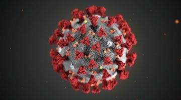 Смертність від коронавірусу зростає