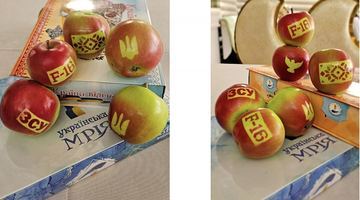 “Татуйовані” яблука. Фото оздоровчого комплексу “Гостевія”