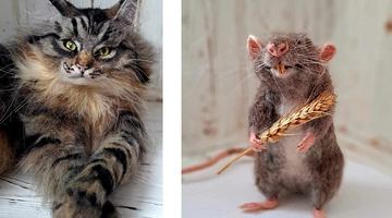 Кіт Бетховен та щур. Фото Світлана Колесник