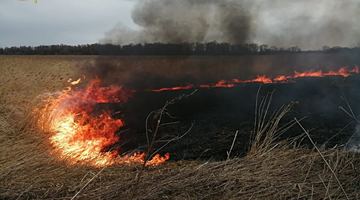 Через паліїв сухої трави на Львівщині згоріло 12 га землі