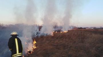 На Львівщині лише за минулу добу ліквідували 70 пожеж сухої трави