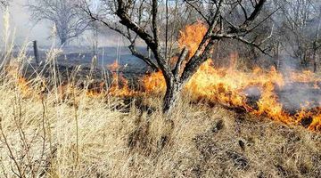 У Буську 81-річна жінка спалювала суху траву і ледь не згоріла