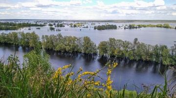 Фото: Укрінформ