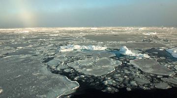 Арктичний льодовий покрив стрімко тане, бо температура на Півночі постійно зростає... Фото NASA