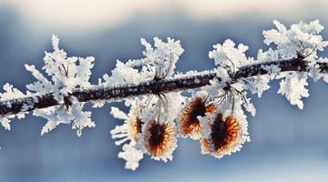 У вівторок, 29 листопада, відносно тепло буде у Криму та у південних областях країни. Фото із мережі